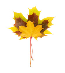 Similar image 794249