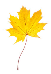 Similar image 794250