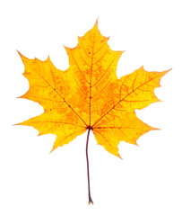 Similar image 794251