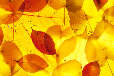 Similar image 794255