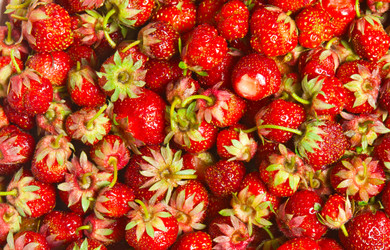 Similar image 794328