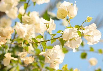 Similar image 794375