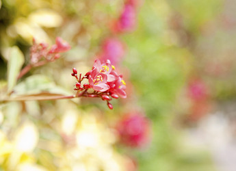 Similar image 794380