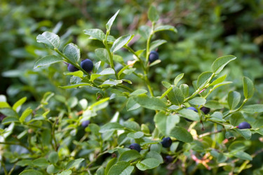 Similar image 794381