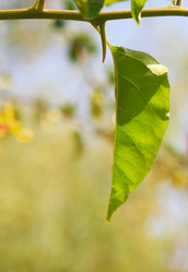 Similar image 794385