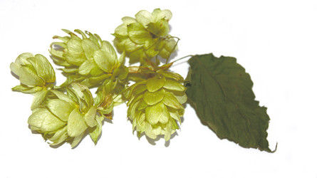 Similar image 794388