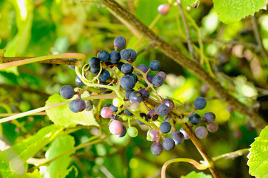 Similar image 794404