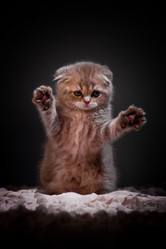 Similar image 794438