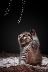 Similar image 794445