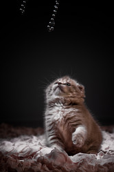 Similar image 794446