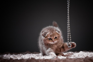 Similar image 794447