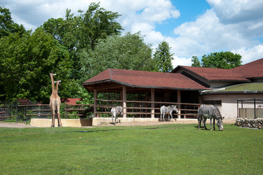 Similar image 794458