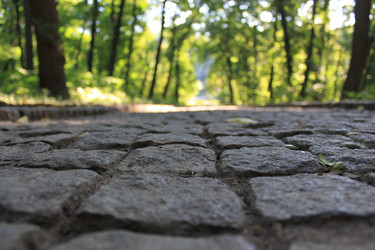 Similar image 794497