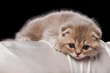 Similar image 794512