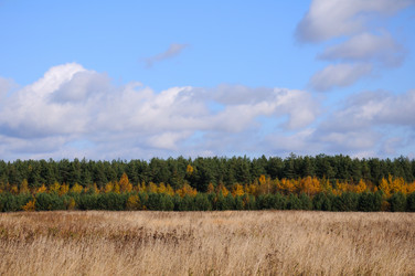 Similar image 794555