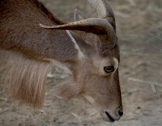 Similar image 794578