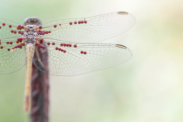 Similar image 794590