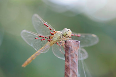 Similar image 794592