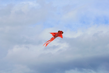 Similar image 794601