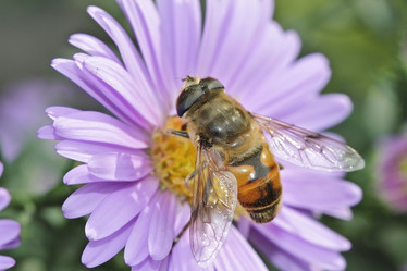 Similar image 794613