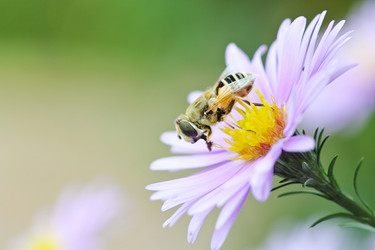 Similar image 794614