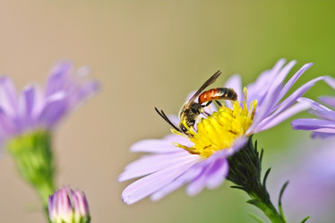 Similar image 794615