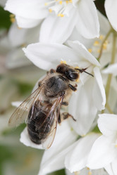 Similar image 794619