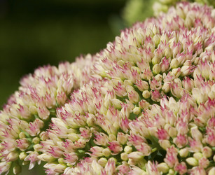 Similar image 794639