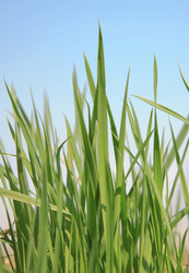 Similar image 794640