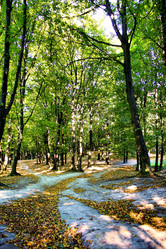 Similar image 794647