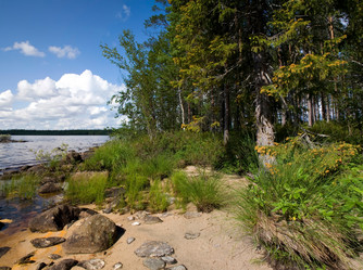 Similar image 794649