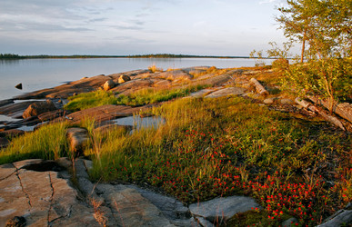 Similar image 794651