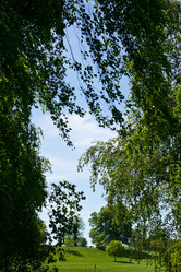 Similar image 794664