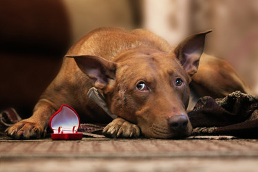 Similar image 794679