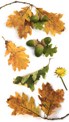 Similar image 794759