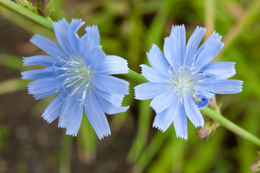 Similar image 794762