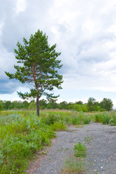 Similar image 794767