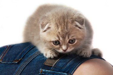 Similar image 794779