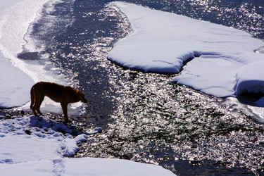 Similar image 794786