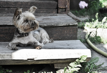 Similar image 794793