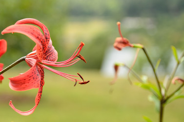 Similar image 794796