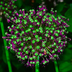 Similar image 794808