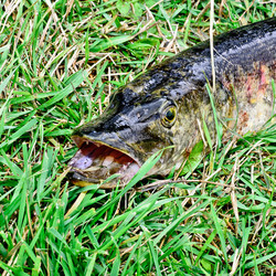 Similar image 794840