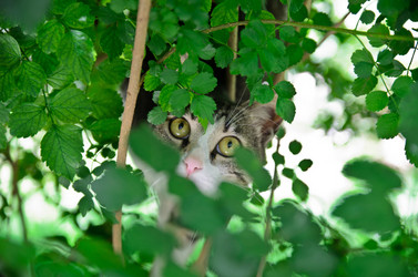 Similar image 794854