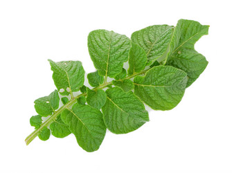 Similar image 794870