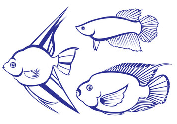 Similar image 794879