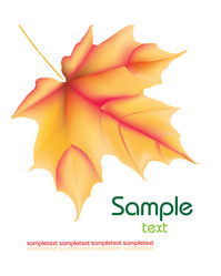 Similar image 794932