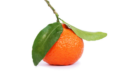 Similar image 794943