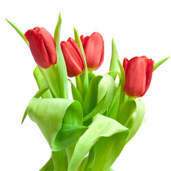 Similar image 794999