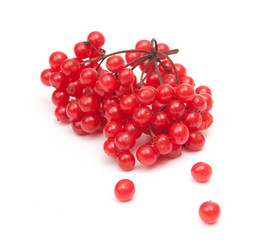 Similar image 795004